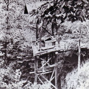 Mine shaft entrance with wooden tower among trees