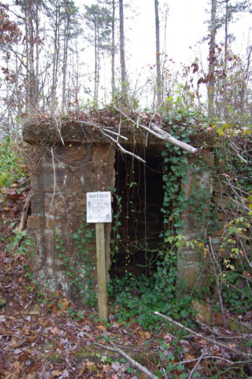 Abandoned brick building covered in vines in wooded area