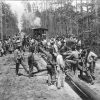 Group of men in woods beside large pipe with steam-powered vehicle in distance