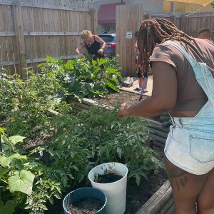 African American woman and white woman working in garden