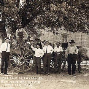 Group of white men posing with wagon loaded with cotton by a tree with brick building behind them