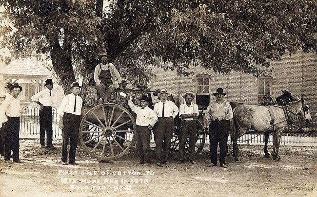 Group of white men posing with wagon loaded with cotton by a tree with brick building behind them