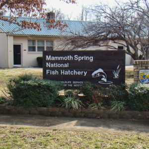 Wooden sign with jumping fish and white text in flower bed with building behind it