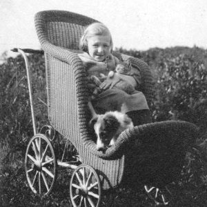 Young white girl with cat and dog in baby carriage outdoors