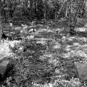 Gravestones in overgrown cemetery in forested area