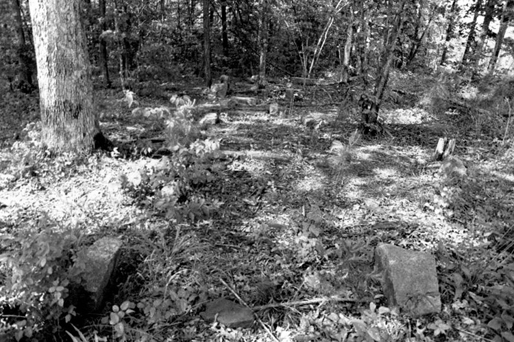 Gravestones in overgrown cemetery in forested area