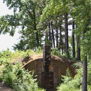 Stone bunker with chimney covered in green foliage surrounded by trees