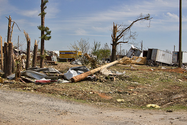 Damaged tree and truck trailers in field covered with debris and yellow moving truck