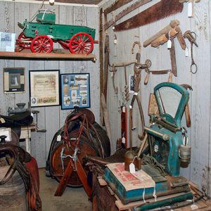 Horse saddles and farming implements on display with framed photographs and documents