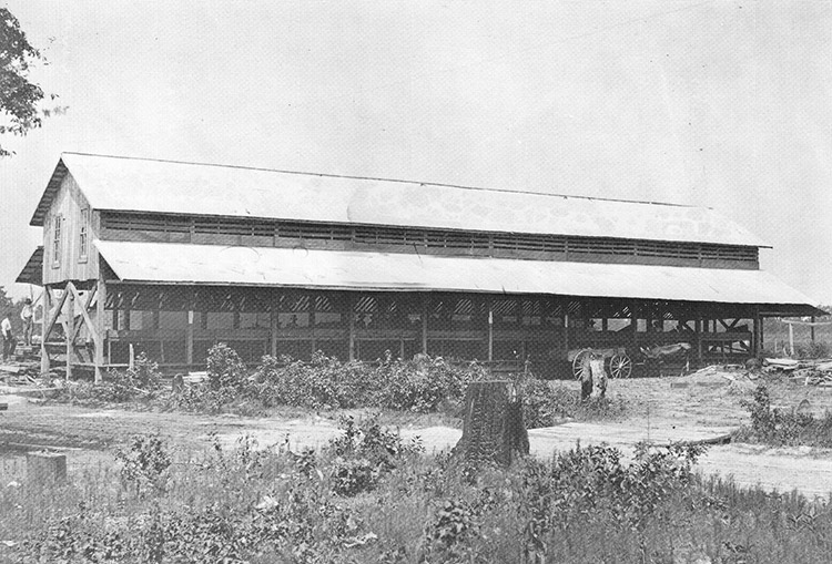 Packing shed with awnings and wagon on farmland