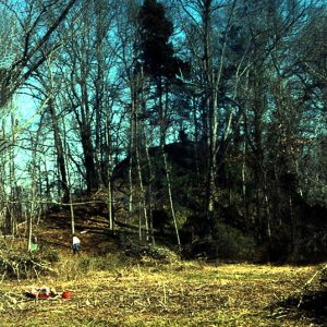 Man at base of large tree covered mound in field