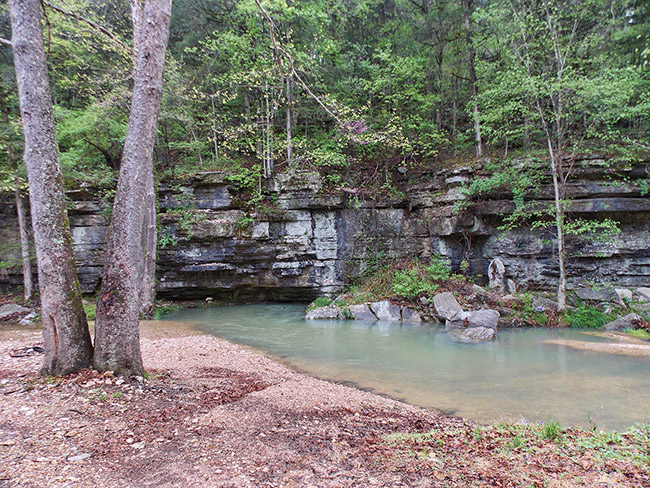 Creek running past rock cliff face with pair of trees in the foreground