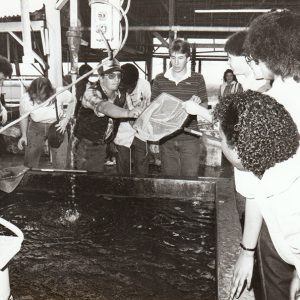 People crowded around elevated water tank with some holding nets