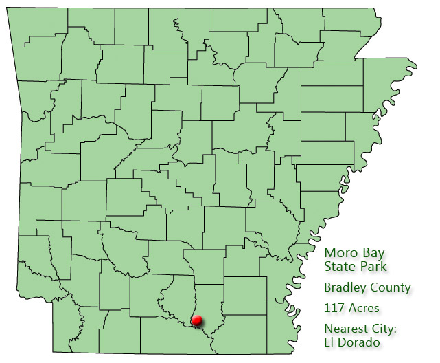 map outlining Arkansas counties with red pin near southern boundary