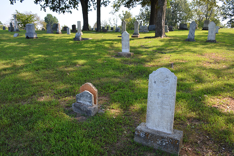 rows of gravestones in cemetery with trees