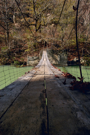 Looking down a walking bridge spanning a creek with netting on both sides of the bridge and wooded area at the far end
