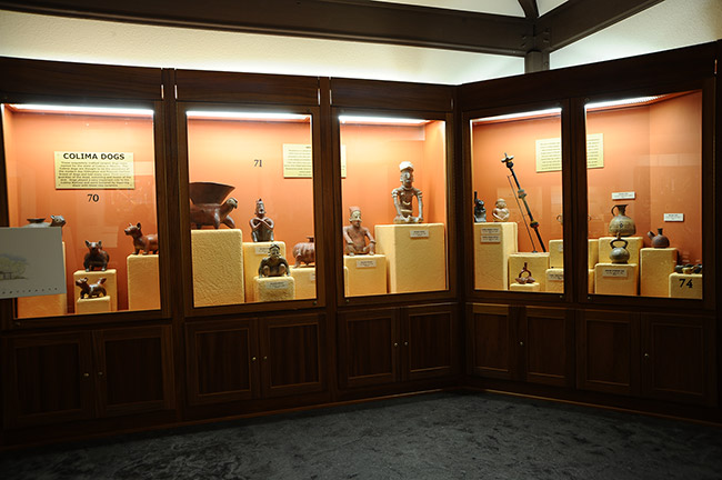 Row of display cases with artifacts behind glass