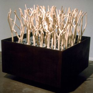 Sculpture bark-less branches lodged in steel box on concrete floor by white wall