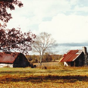 Abandoned house and barn with rusted metal roofs in field