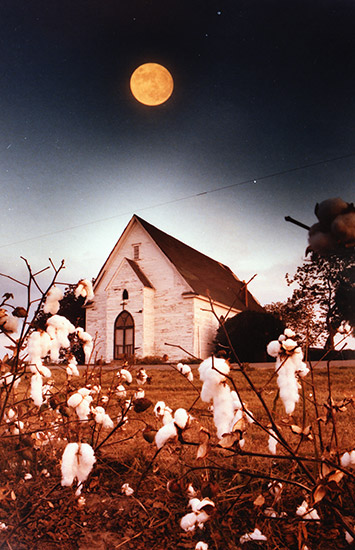 Single-story building under full moon with cotton plant in the foreground