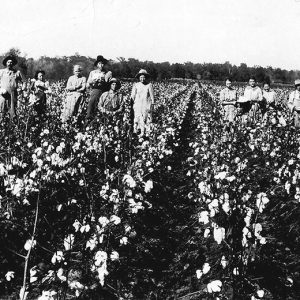 clusters of white men women and children standing in cotton field
