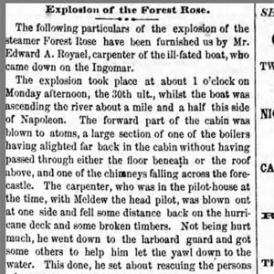 "Explosion of the Forest Rose" newspaper clipping