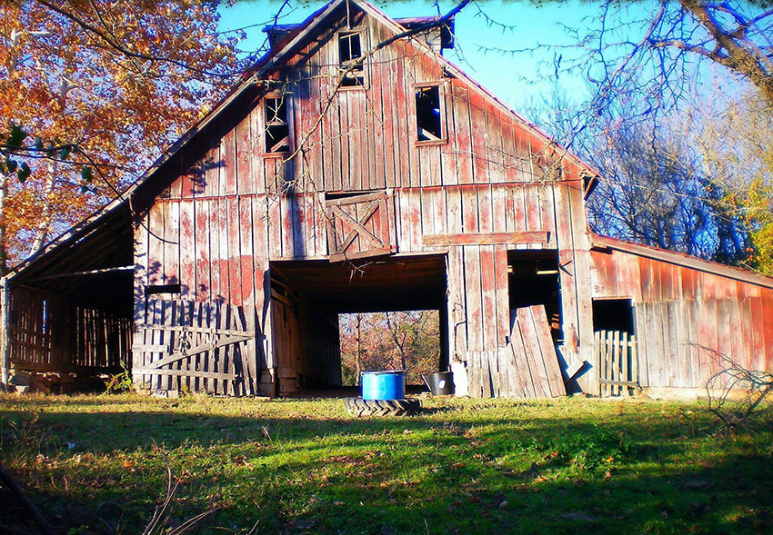ramshackle red barn with windows and trees in the background