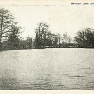 Vacant lake with trees on shore on post card