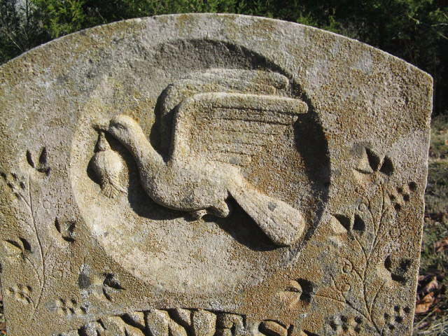 Dove carving on gravestone