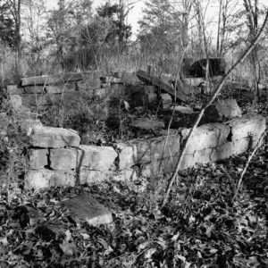 Overgrown brick foundations in forest