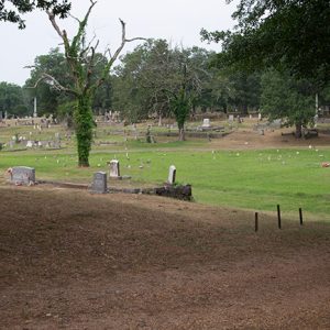 Cemetery with gravestones and trees in the distance