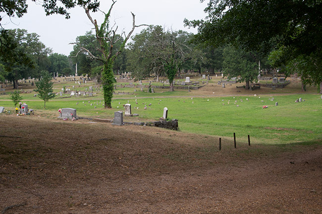 Cemetery with gravestones and trees in the distance