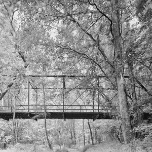 Side view of steel truss bridge and trees