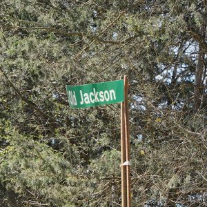 "Old Jackson" road sign on pole