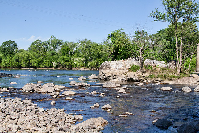 River with white stones in riverbed and trees in the background