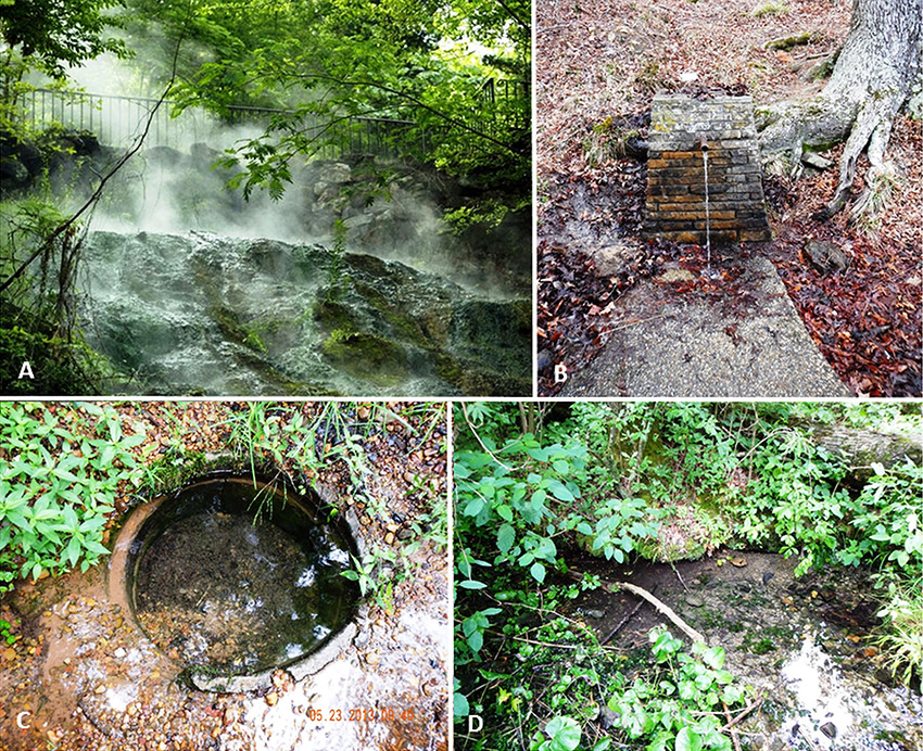 A. Steam rising from hot spring
B. Spring with brick wall
C. Spring well in ground
D. Natural spring with green leaves