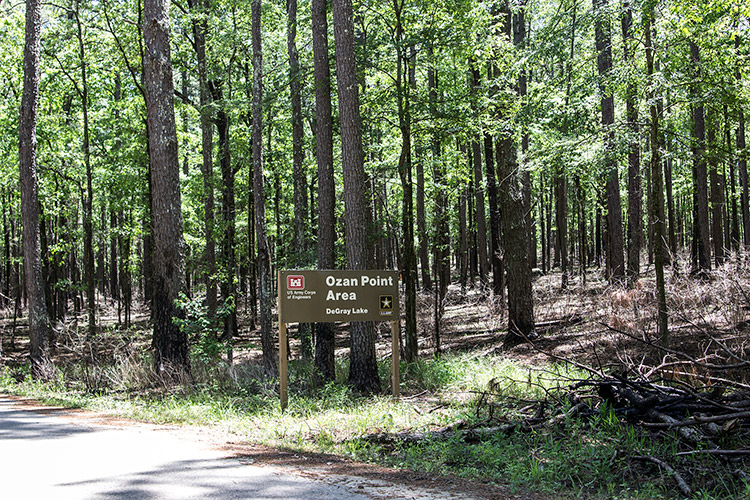 "Ozan Point Area DeGray Lake" sign on road in wooded area