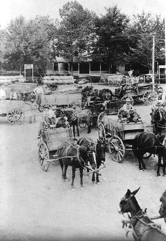 Large group of men with horses and wagons