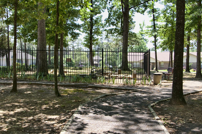 Cemetery behind an iron fence with trees and walking path