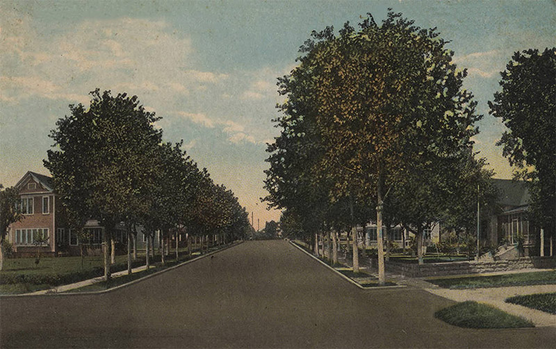 Residential streets lined with trees and multistory houses on both sides