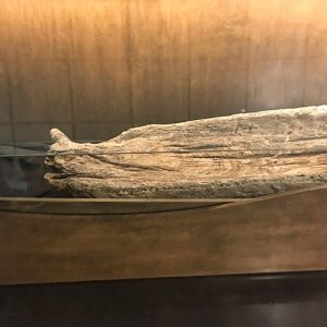 Bow section of wooden canoe in glass display case