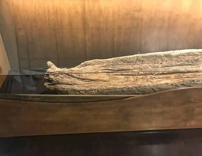 Bow section of wooden canoe in glass display case
