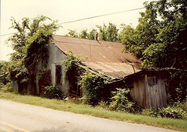Overgrown and dilapidated wood and sheet metal building on street
