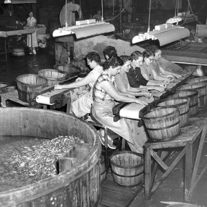 Group of white women sorting pickles into wooden baskets next to vat of pickles under lights in factory building