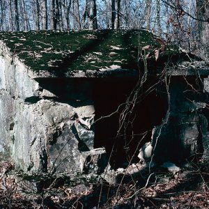 Small stone building with moss growing on its roof in forest