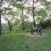 Cannon with wheels on grass surrounded by trees