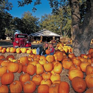 White woman and girl surrounded by pumpkins and trees with red truck and building in the background