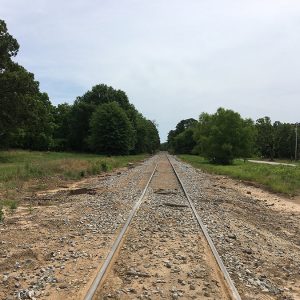 Railroad tracks on gravel with trees on both sides