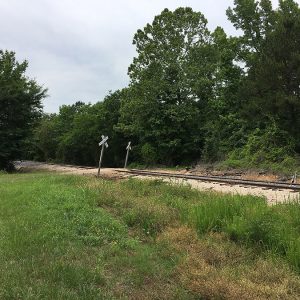 Railroad tracks with crossing signs and trees on both sides