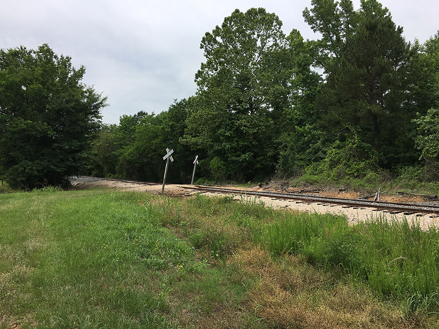 Railroad tracks with crossing signs and trees on both sides